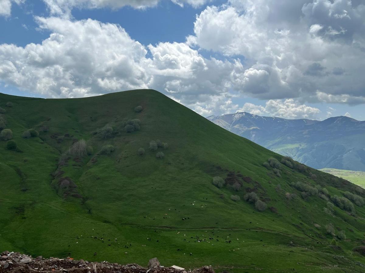 Twins #144 New Gudauri With Mountain Viewアパートメント エクステリア 写真